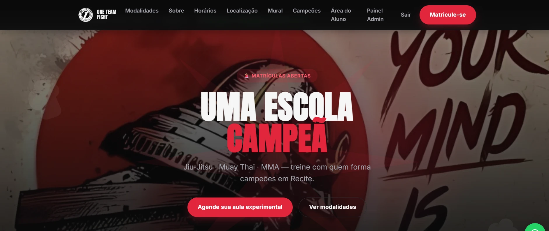 Captura de tela do site One Team Fight